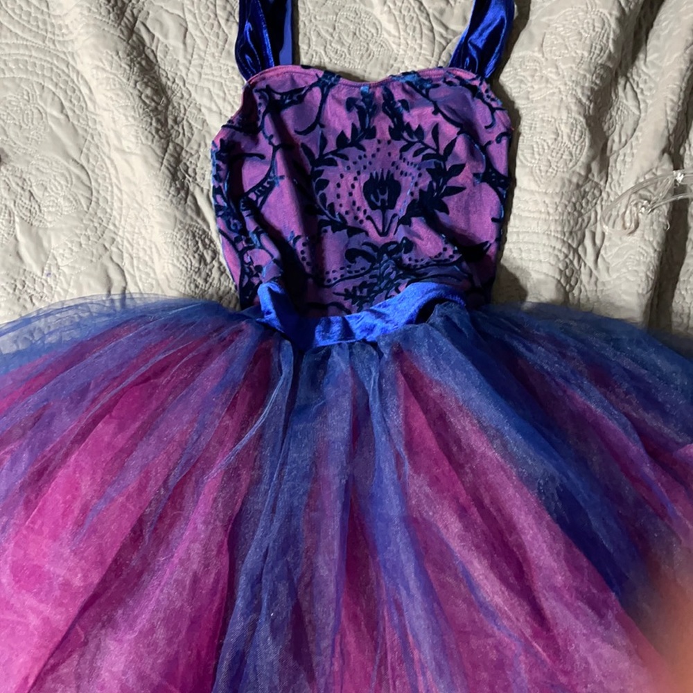 Sugar plum fairy costume